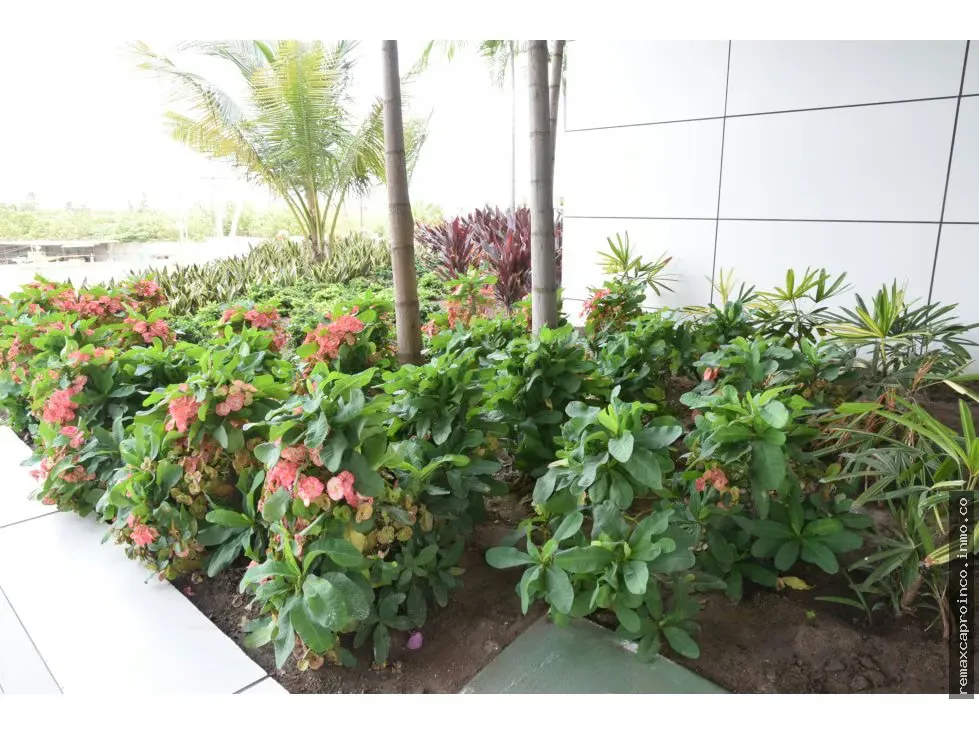 EN VENTA APARTAMENTO EN TUCACAS CODIGO 594407 - 10