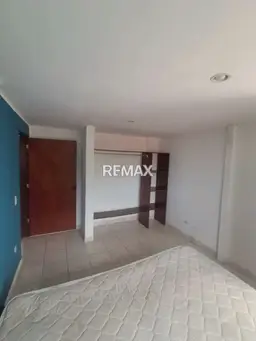 Vista 7