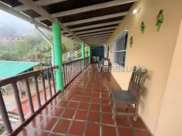 Vista 16