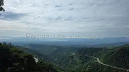 Vista 19