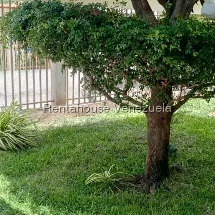 Apartamento (1 Nivel) en Venta en Las Trinitarias, Lara - 18