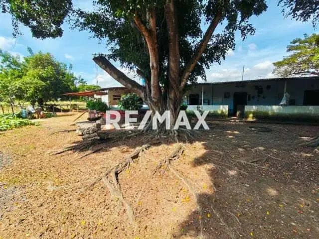 finca en la mariposa de 8 hectareas