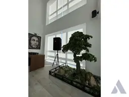 Vista 12