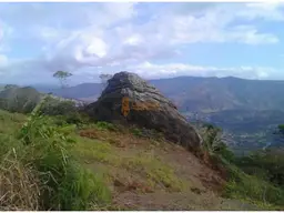 View 2