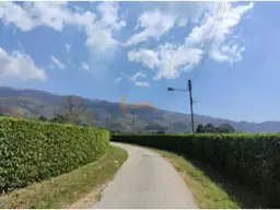 View 3