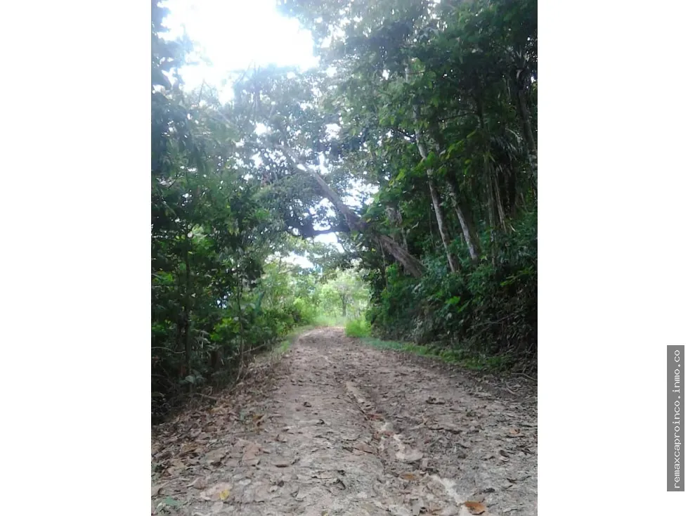 Terreno En Venta Cumbres de Canoabo Bejuma C-3255354 - 6