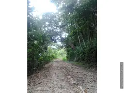 View 6