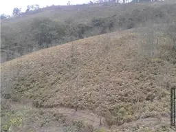 View 10