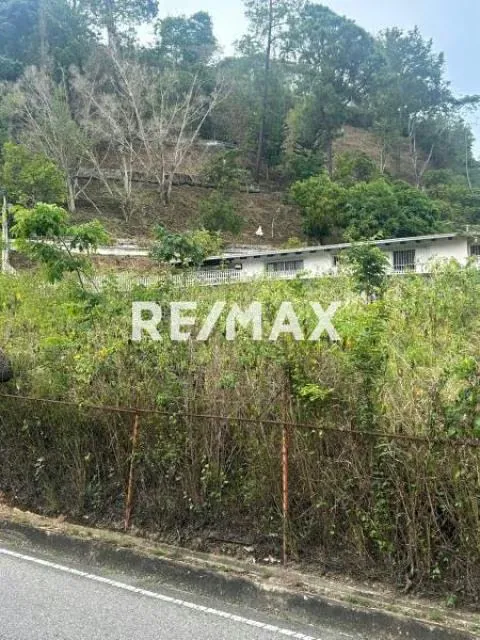 Terreno Residencial en Colinas de Tamanaco (Venta) - 2