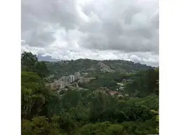 Vista 19