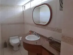 Vista 18