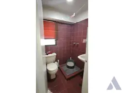 Vista 24