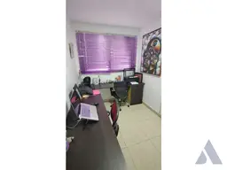 Vista 25