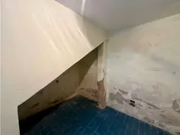Vista 50