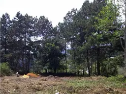 Vista 1