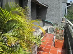 Vista 15