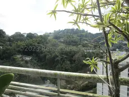 Vista 36