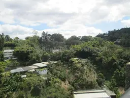 Vista 53