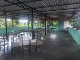 View 15