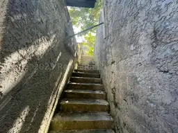 View 77