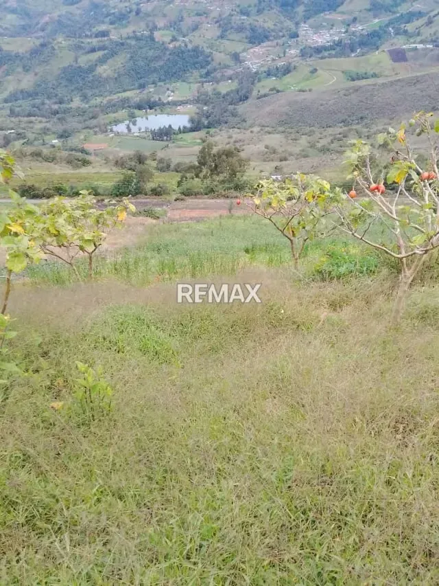 EN VENTA TERRENO EN PREGONERO #150 - 2