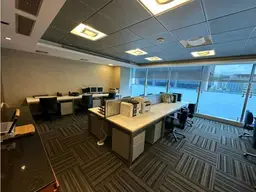 Vista 25