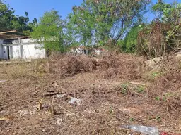 Vista 5