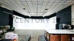 Vista 4
