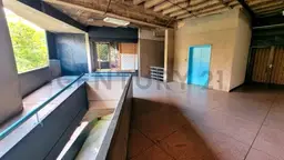 Vista 5