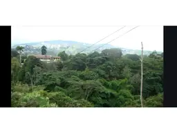 View 4