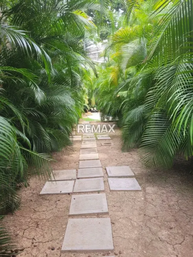 PH DE 327 MTS EN MONTECRISTO - VENTA - 7