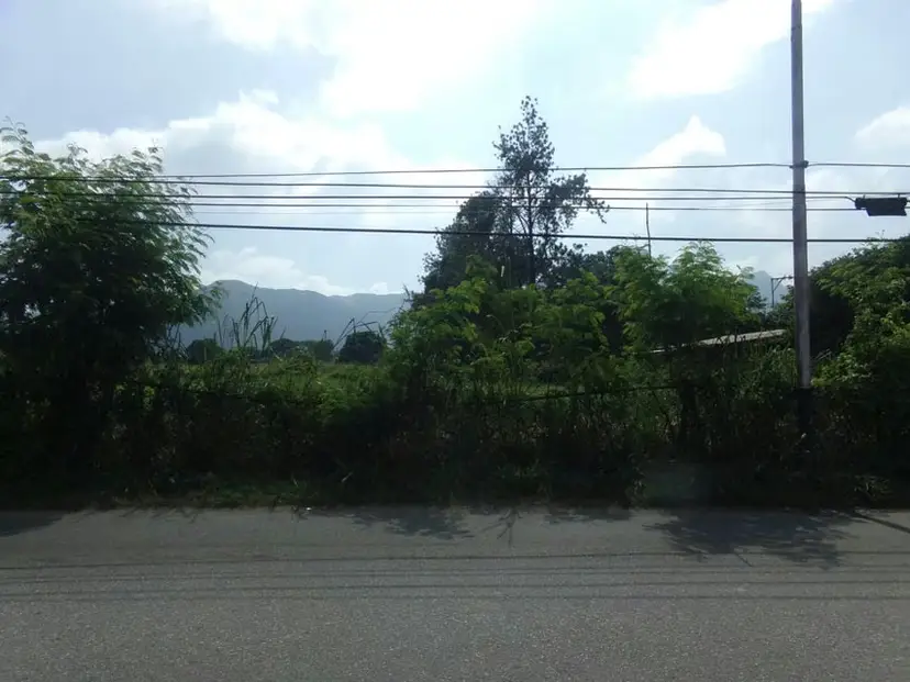 Terreno (Comercial) en Venta en Sabana del Medio, Carabobo