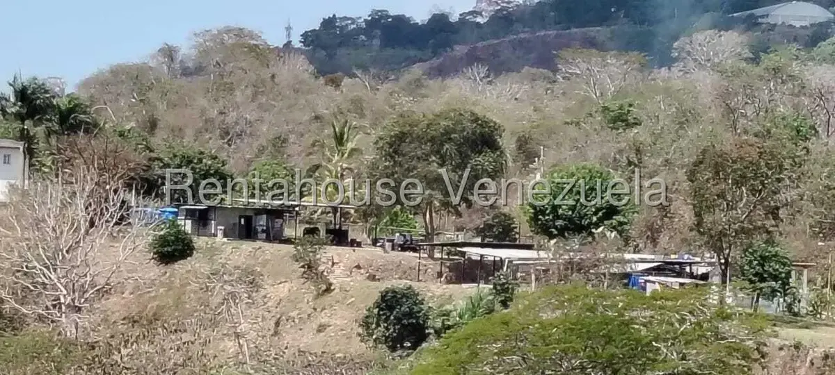 Terreno (Finca) en Venta en Parcelamiento Cortada del guayabo, Miranda - 25