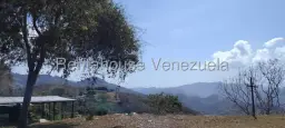Vista 26