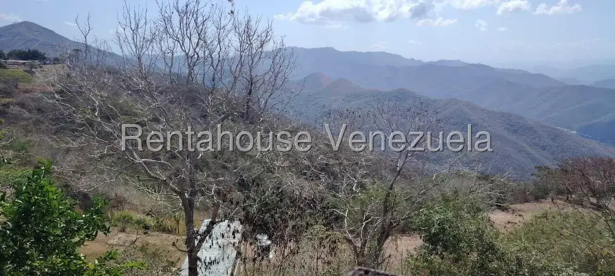 Terreno (Finca) en Venta en Parcelamiento Cortada del guayabo, Miranda - 27