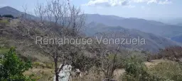 Vista 27