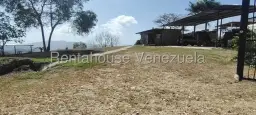 Vista 6