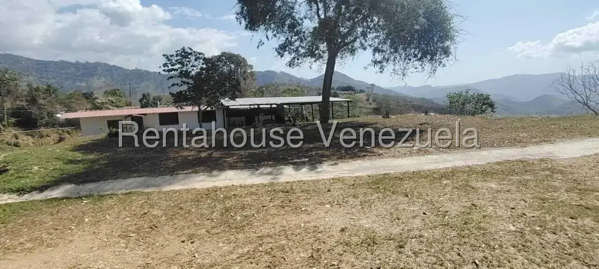 Terreno (Finca) en Venta en Parcelamiento Cortada del guayabo, Miranda - 7