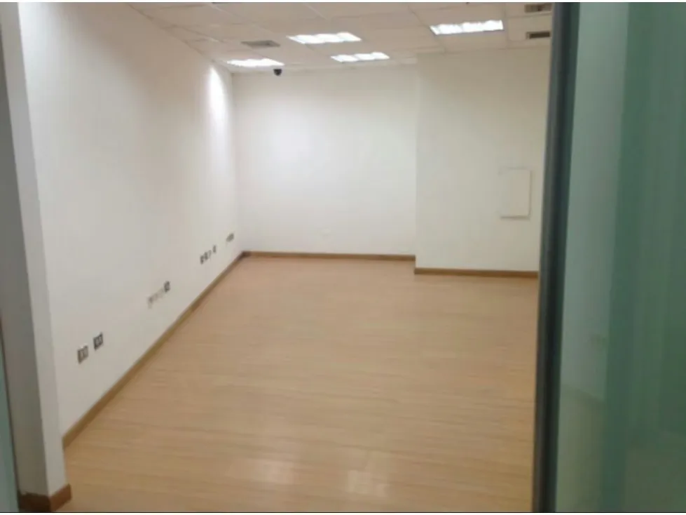 Alquilo oficina 503m2 El Rosal 3339 - 6