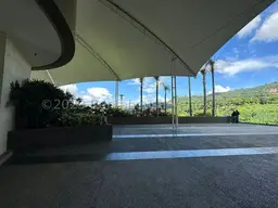 Vista 6