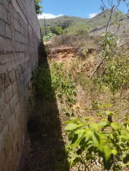Vista 15
