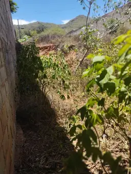 Vista 16