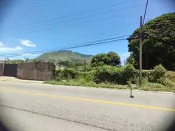 Vista 5