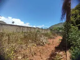 Vista 7