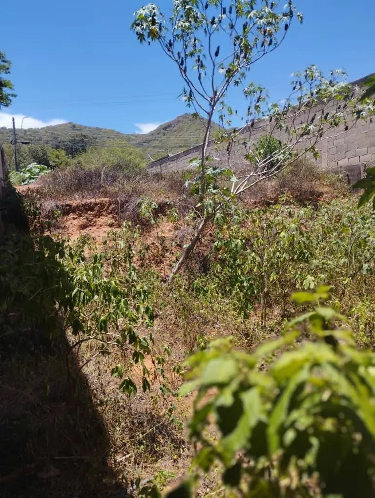 Terreno Principal Atamo Sur - 9