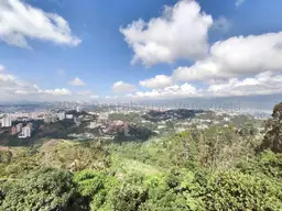 Vista 9