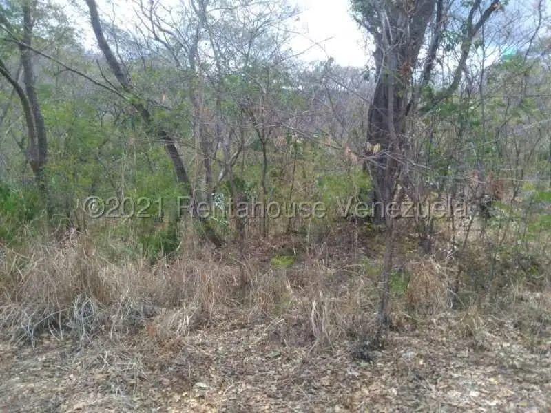Terreno (Comercial) en Venta en Hacienda Barrancon, Aragua - 13