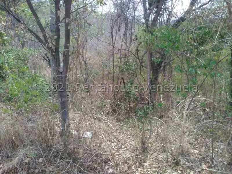 Terreno (Comercial) en Venta en Hacienda Barrancon, Aragua - 14