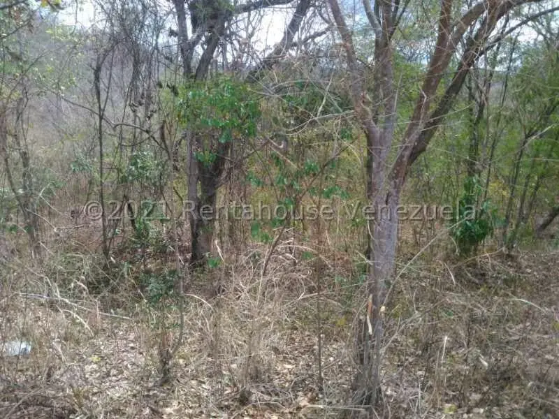 Terreno (Comercial) en Venta en Hacienda Barrancon, Aragua - 15