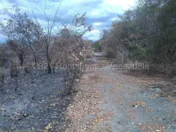 View 10